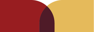 MiPHR Logo